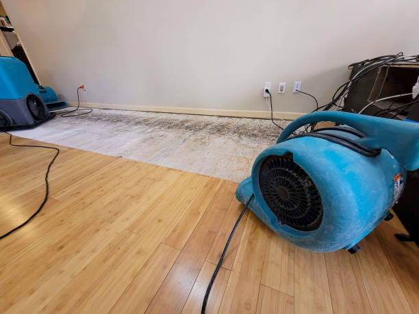 Professional Water Damage Repair technician working in Polk, PA